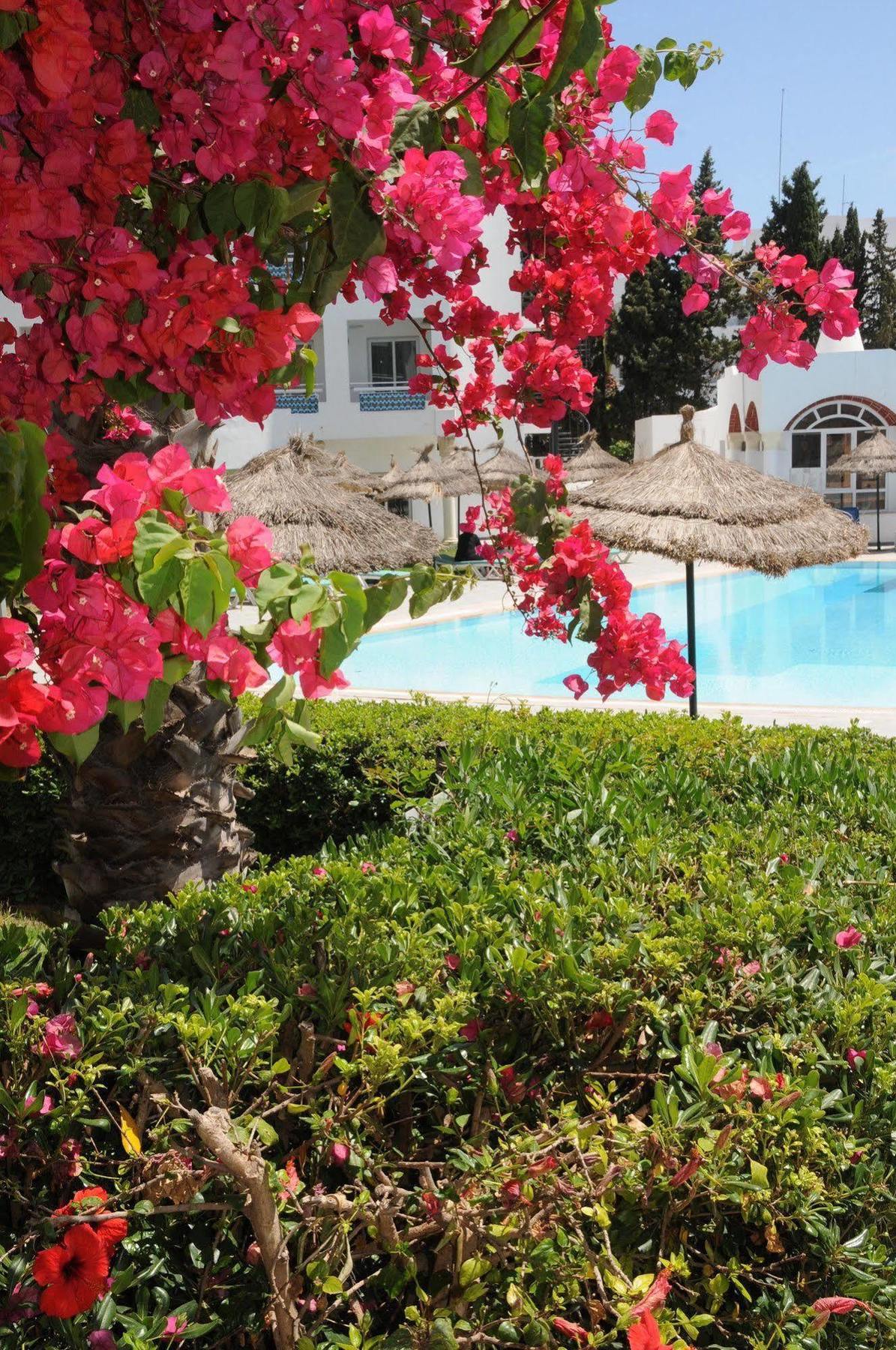 Menara 4* Hammamet